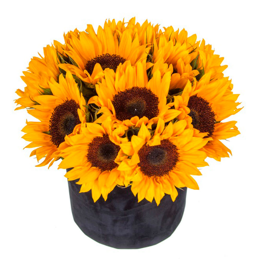 Цветы в коробке "Яркий день" Цветы в коробке "Яркий день"